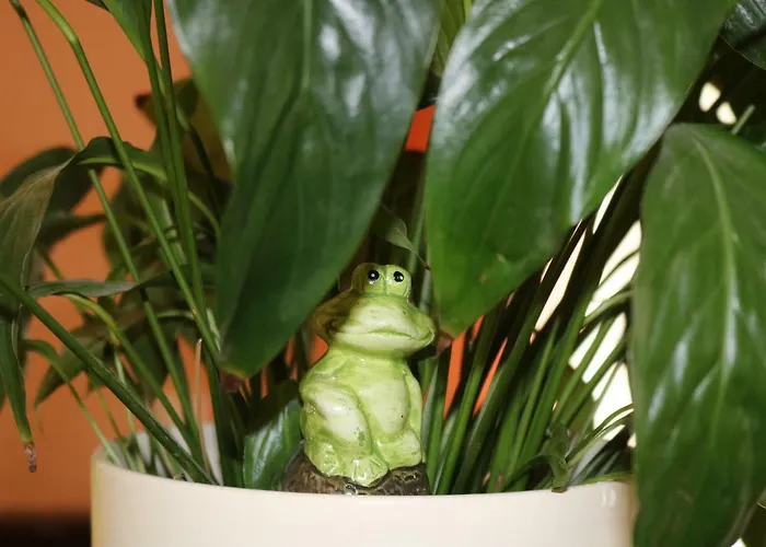 Gogalova Apartment *